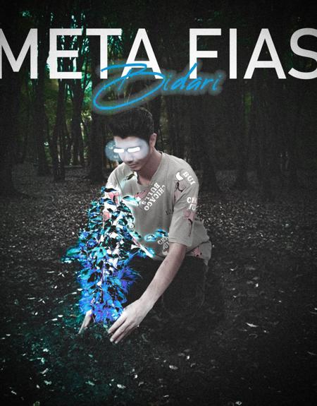 Metaflas Music