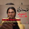 Delgir Nemisham